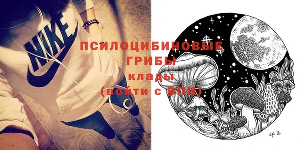 стаф Тобольск