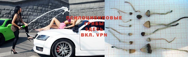 стаф Тобольск