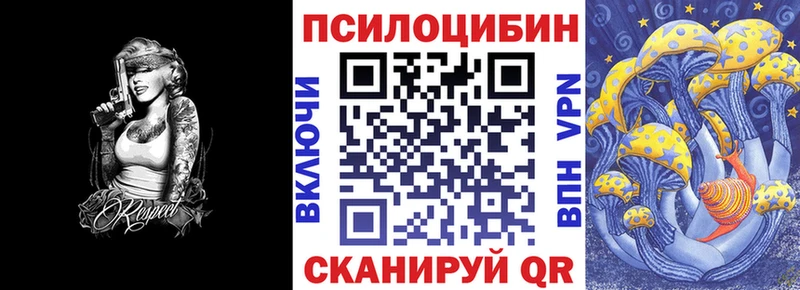 Псилоцибиновые грибы Cubensis  Купить где  Суоярви 